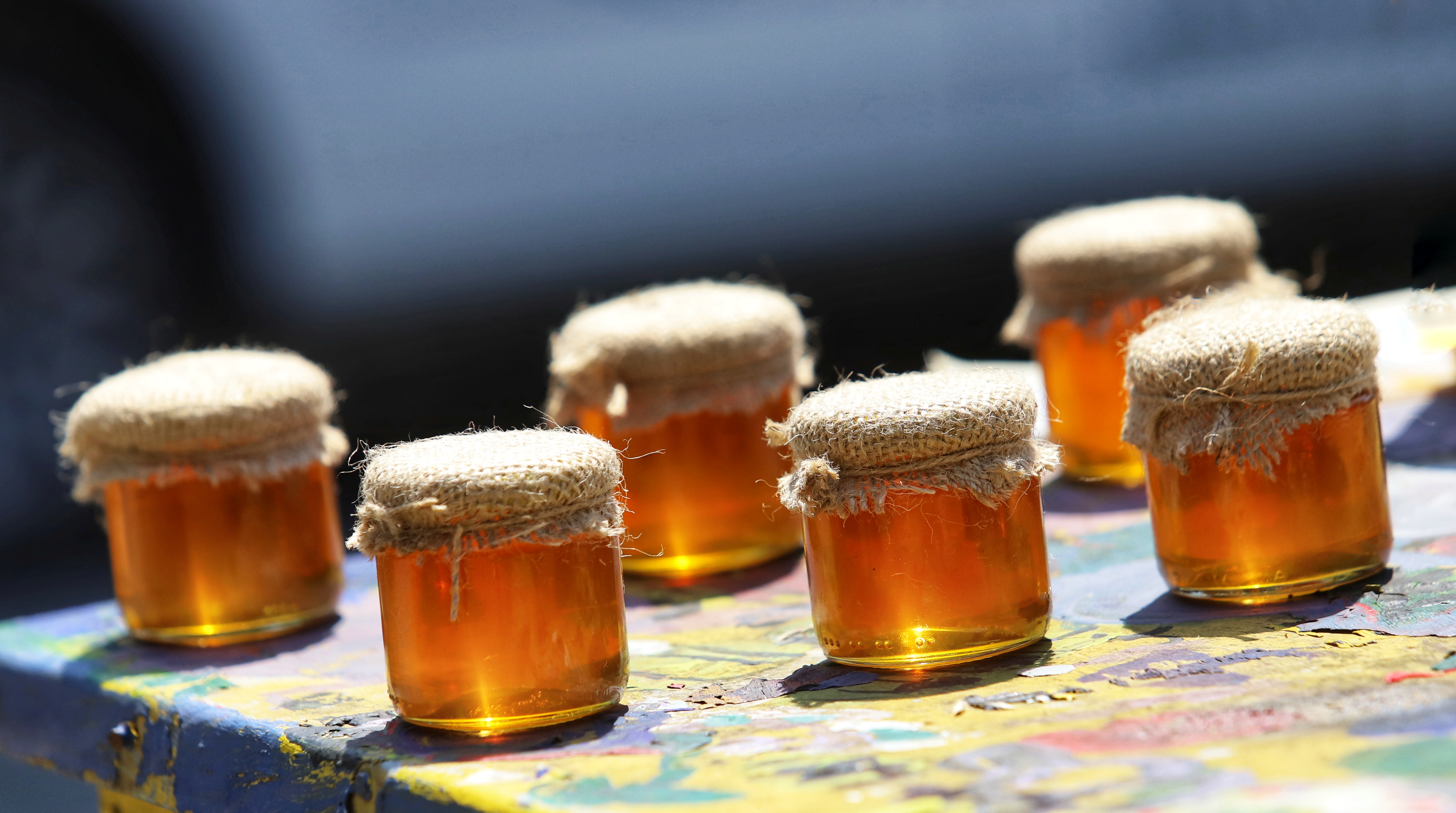 държавен фонд "земеделие", пчелари, помощ, мед