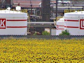 Санкциите срещу Лукойл и Роснефт напът да пренаредят световната петролна карта