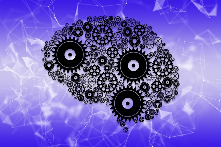 мозък, иновации