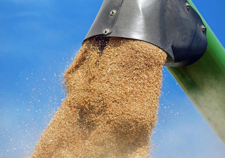 Световните цени на зърнените храни зависят от Китай
