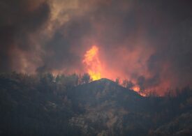 Как горските пожари задушават планетата