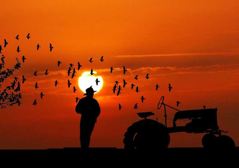 трактор, фермер, земеделие