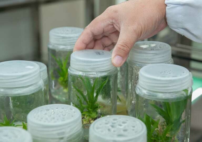 био биотехнологии