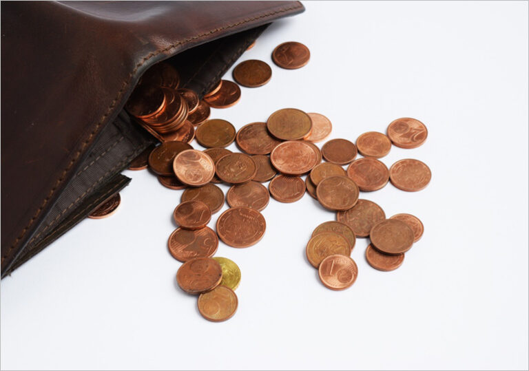 портфейл монети стотинки