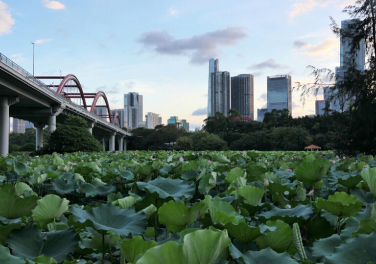 китай събев