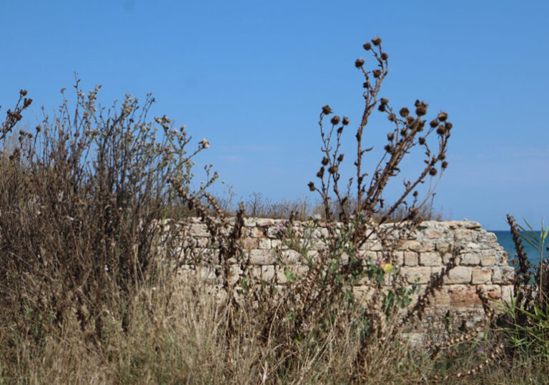 събев недовършени